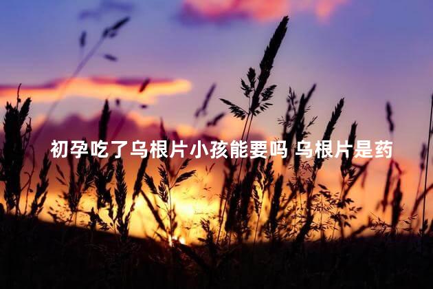 初孕吃了乌根片小孩能要吗 乌根片是药吗